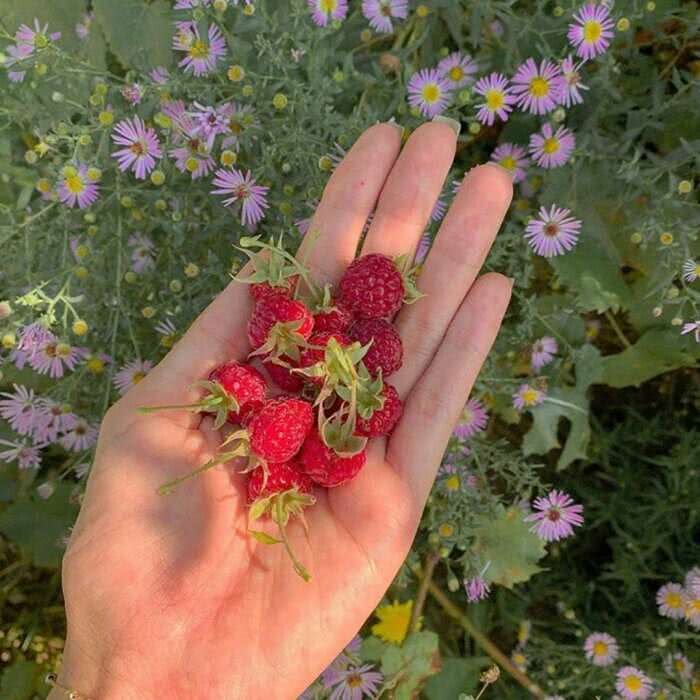 适合摘抄在备忘录里的温柔仙句（好用又可爱的备忘录句子）