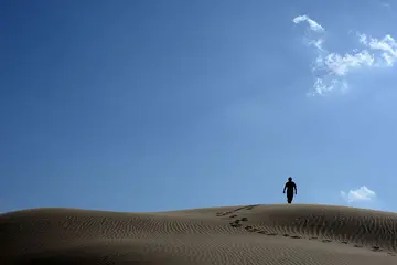 《我的奋斗精神》（关于不懈奋斗的作文精选）