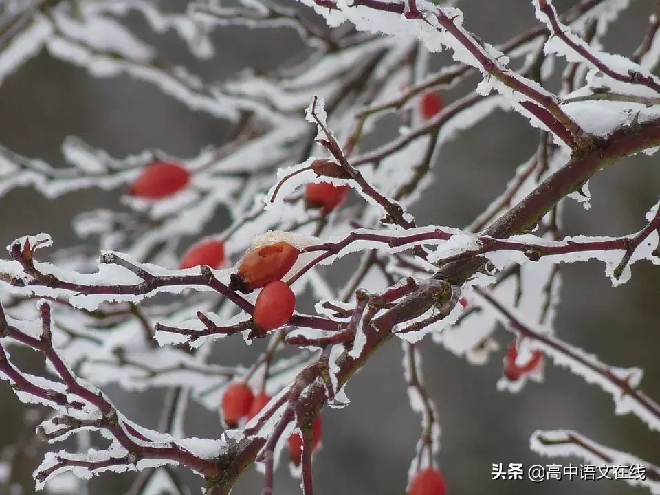 冬天的经典古诗词（关于冬天的优美诗词）