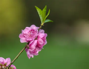 《我渴望多一点爱》（关于渴望被爱的作文精选）