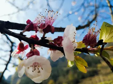 《渴望那份理解的爱》（关于渴望理解的作文精选）