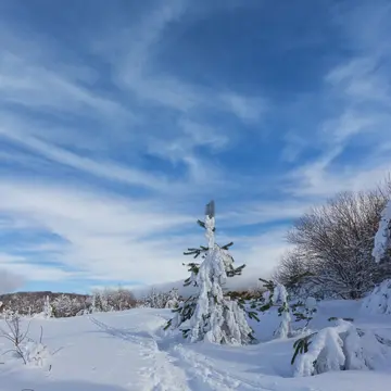 大雪节气的暖心文案（描写大雪的唯美句子）