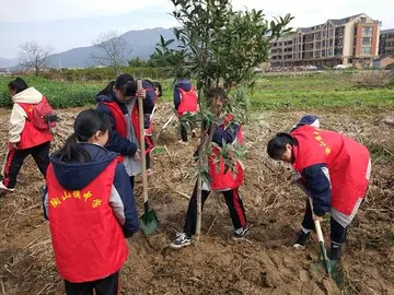 有关难忘好节的作文精选范例（《难忘的植树节》）