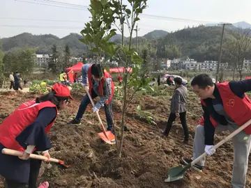 《难忘那个植树节》（关于难忘时节的作文精选）