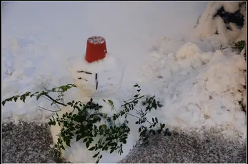 适合雪天的朋友圈句子（关于雪天的唯美短句）