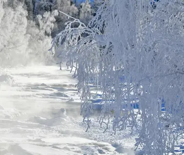 适合雪天的朋友圈句子（关于雪天的唯美短句）