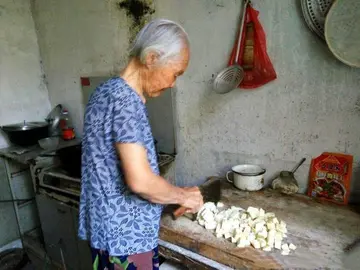 有关怀念亲情的作文精选范例（《奶奶给予的亲情》）