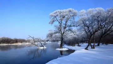 适合表白的情话短句（特别浪漫的表白句子）