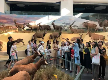 《博物馆的体验之旅》（关于体验学习的作文精选）