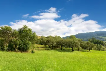 《春暖花开的体验》（关于体验春天的作文精选）