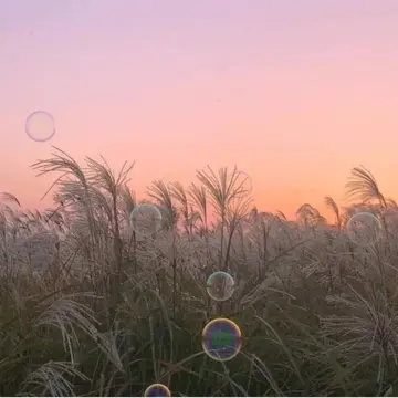 干净治愈的文案短句（治愈人心的经典语录）