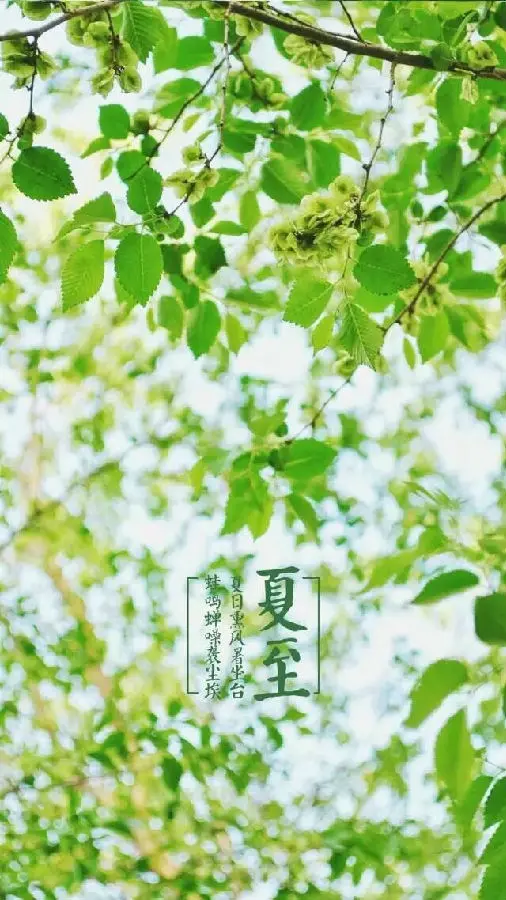 关于夏至的祝福文案（夏至节气的简短句子）