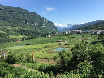 有关捡拾美好的作文精选范例（《不期而遇的美好》）