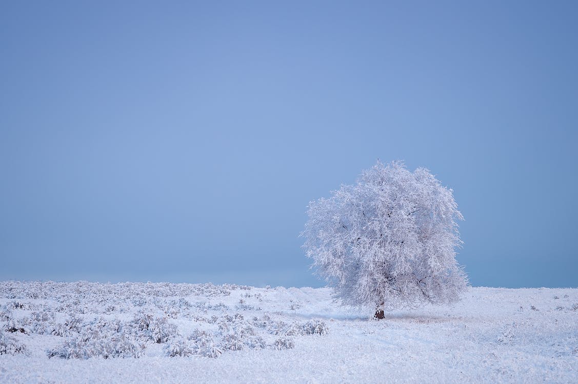 适合雪天的浪漫短句（关于雪天的经典句子）