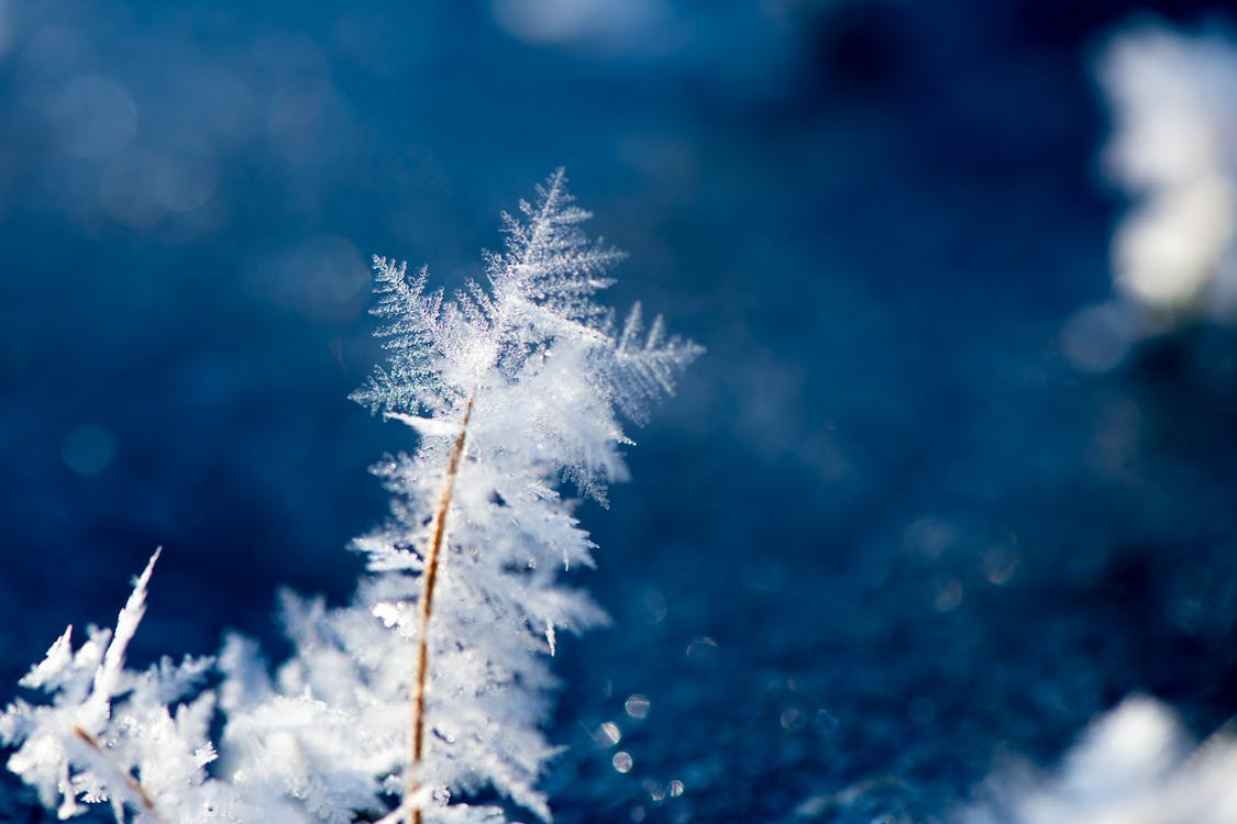 适合雪天的浪漫短句（关于雪天的经典句子）