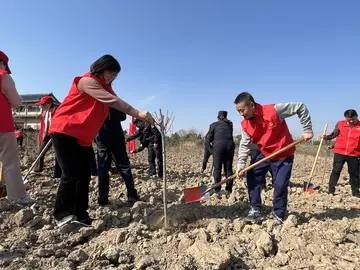 有关守望美好的作文精选范例（《守护我们的美好》）