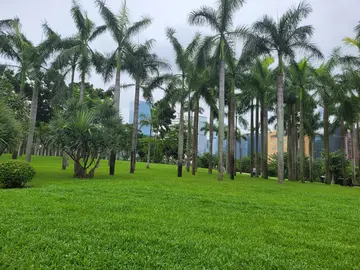 有关懂得美好的作文精选范例（《美好的幸福生活》）