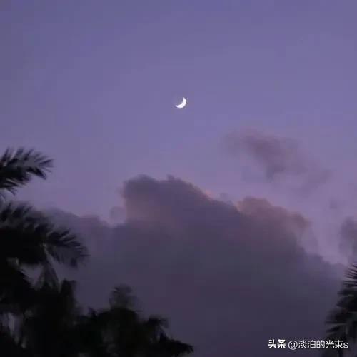 适合深夜的心情短句（特别伤感的走心句子）