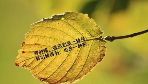 一年人生感悟的句子（上班族人生感悟的语录）