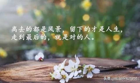 好句大全人生哲理（人生哲理短语）