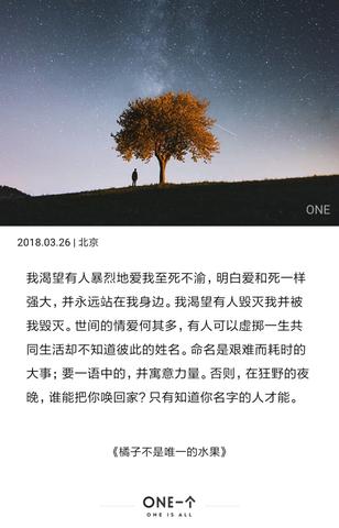 小众而有深意的文案（小众却惊艳你很久的句子）