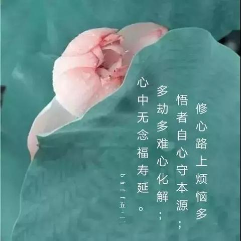 富有哲理的句子短（蕴含哲理的唯美长句）