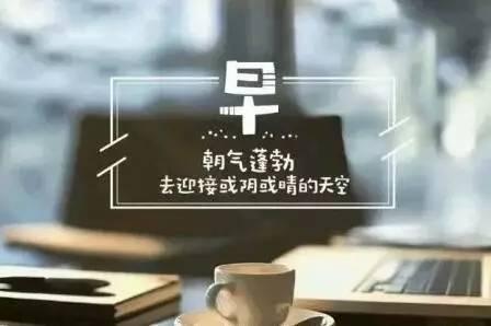 元气满满正能量的短句（元气满满的好词好句摘抄）