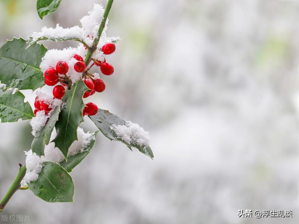 适合下雪天发的浪漫文案（关于初雪的唯美句子）