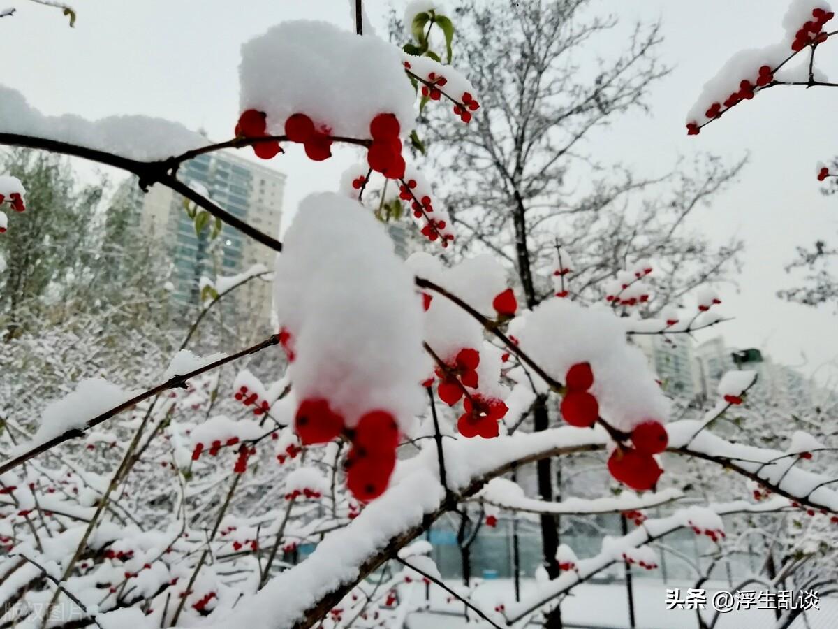 适合下雪天发的浪漫文案（关于初雪的唯美句子）