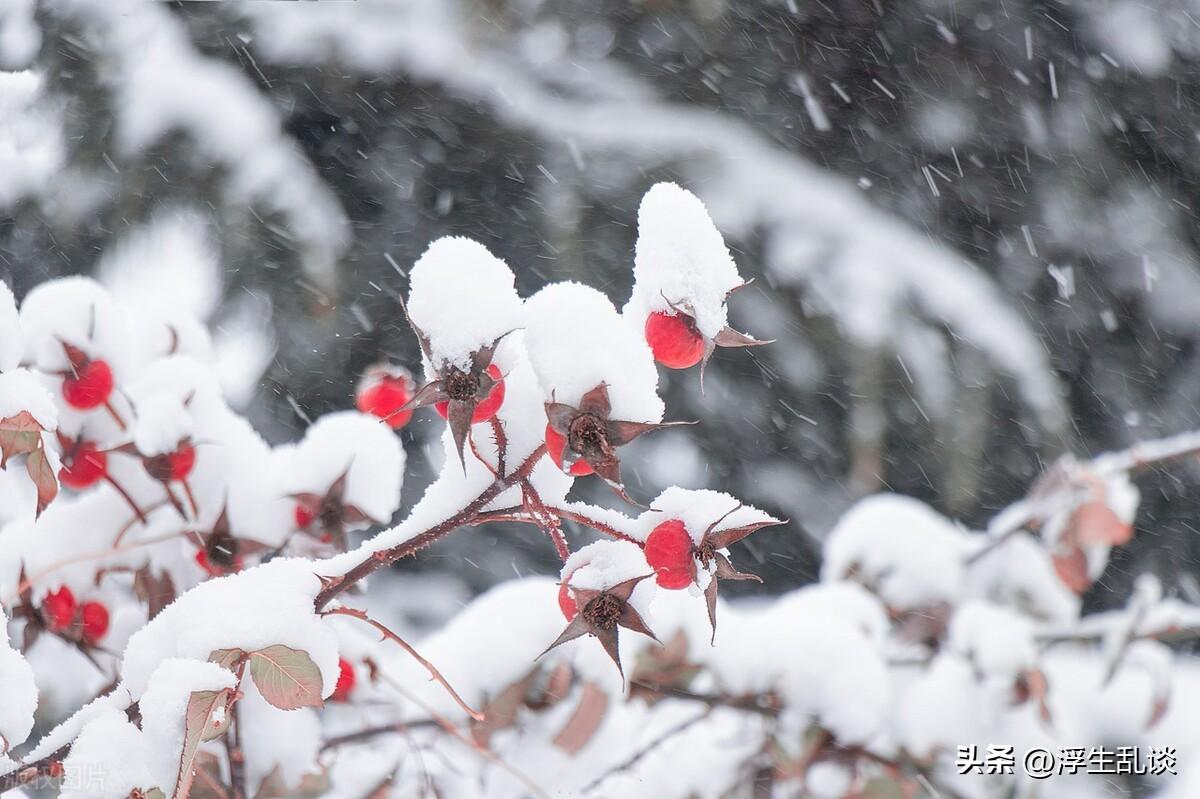 适合下雪天发的浪漫文案（关于初雪的唯美句子）