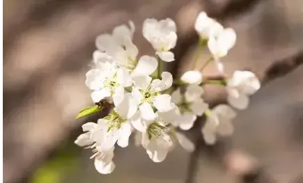 朋友圈激励人心的文案句子（经典走心励志短句）