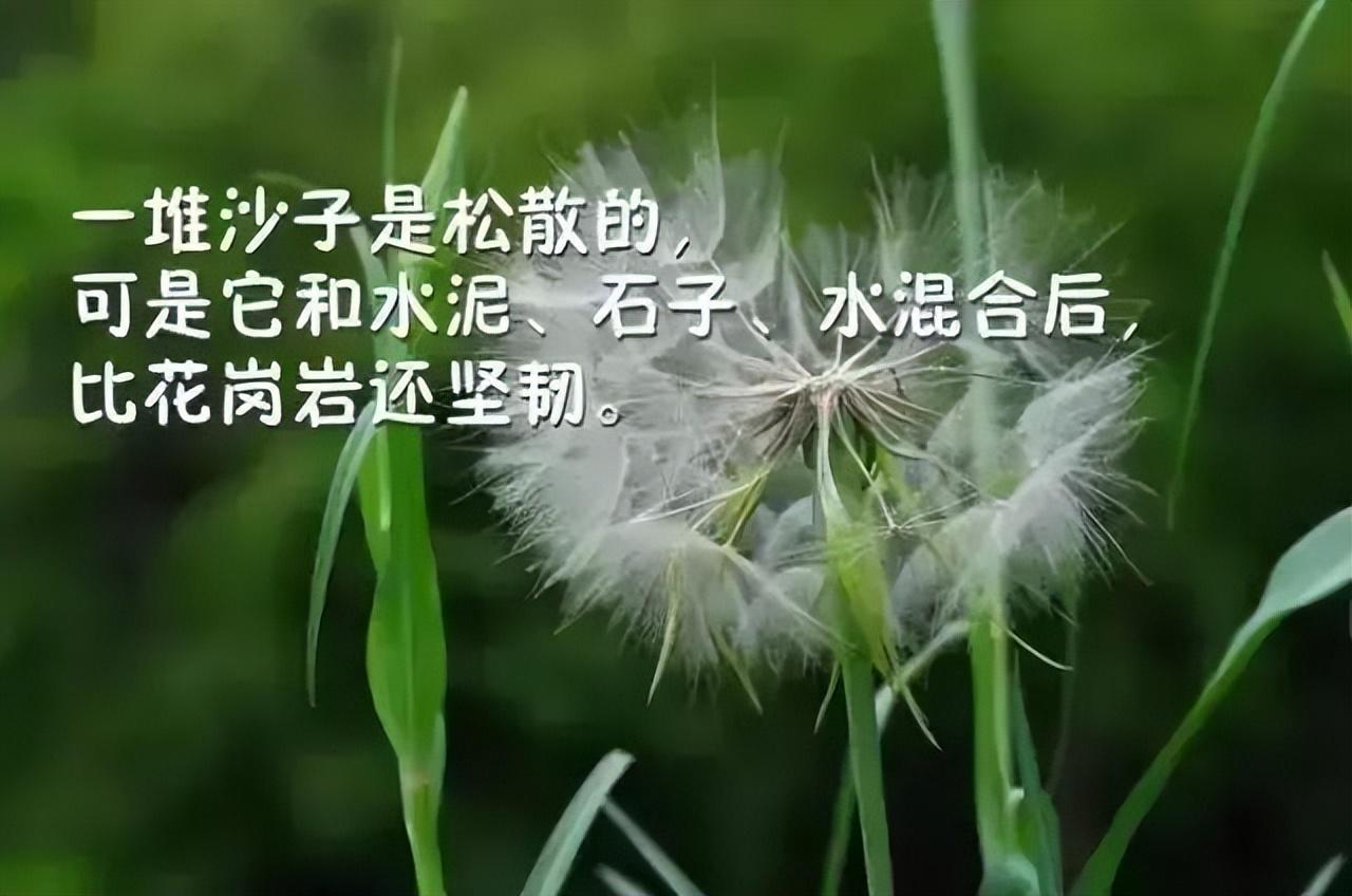 激发自己的励志句子（经典上进正能量语录）