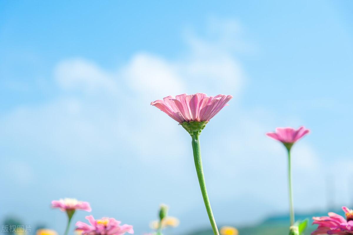 让人心酸的句子（特别心酸的文案）