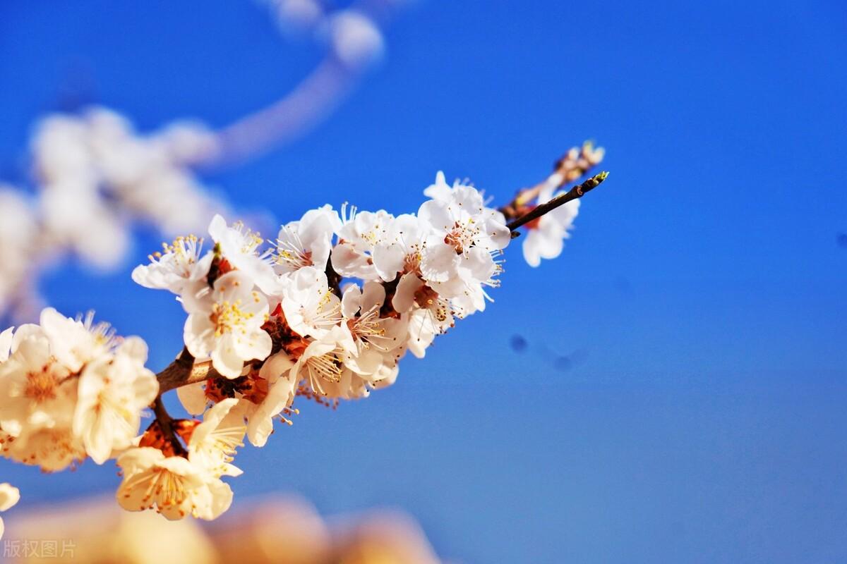 让人心酸的句子（特别心酸的文案）