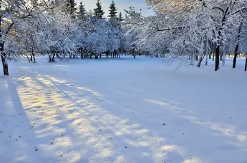 《对冬季的怀念》（关于怀念冬天的作文精选）