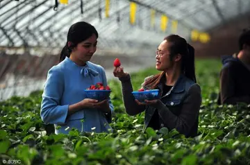 有关尊重生命的作文精选范例（《尊重生命，善待动物》）