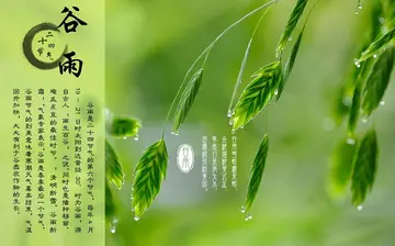 关于谷雨节气的著名古诗大全（描写谷雨的诗词句子）