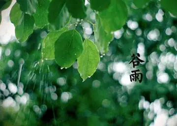 关于谷雨节气的著名古诗大全（描写谷雨的诗词句子）