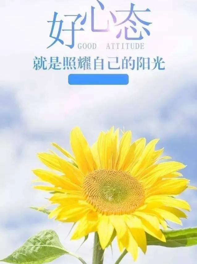 朋友圈早安励志金句（正能量早安语录）