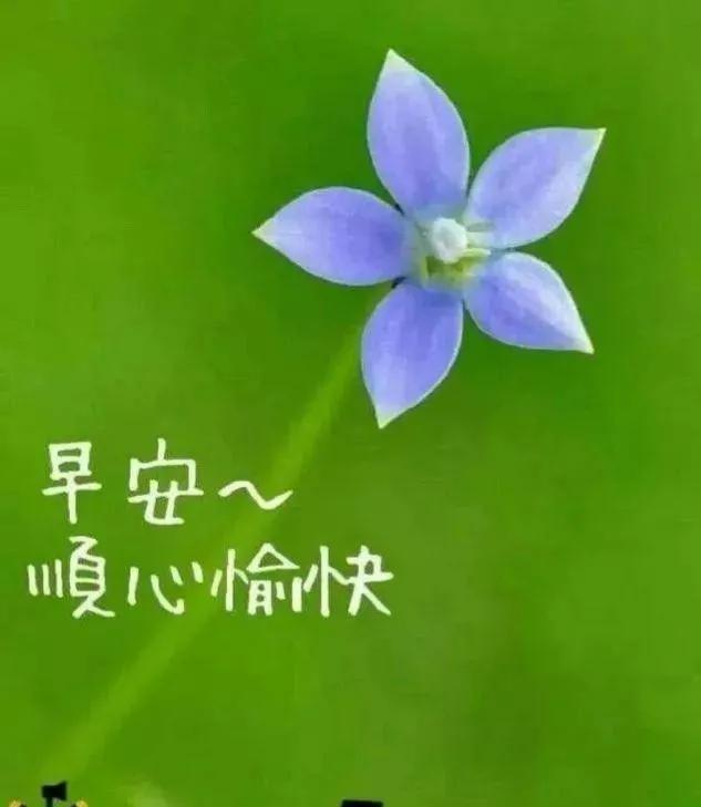 朋友圈早安励志金句（正能量早安语录）