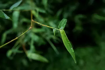 我的一天600字优秀作文（不能再浪费时间）