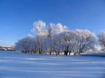 有关温暖回忆的作文精选范例（《冬天雪景回忆》）