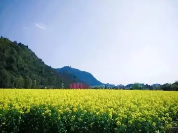 有关回忆亲情的作文精选范例（《缅怀着我的亲人》）