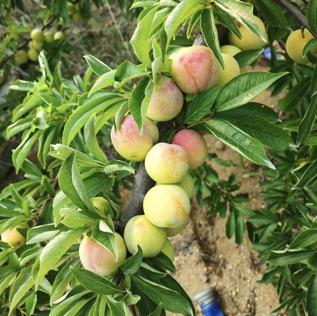 特别走心的情感句子（关于情感的经典语录）