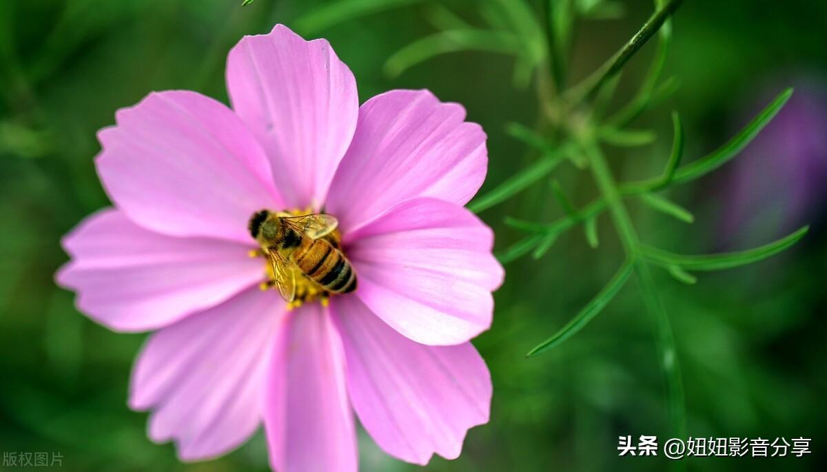 形容女人性感的句子（女人性感的说说）