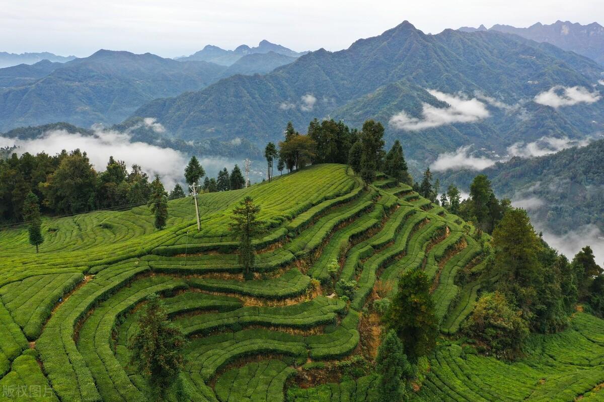 秋天在景色优美语录（秋季山顶喝茶的句子）