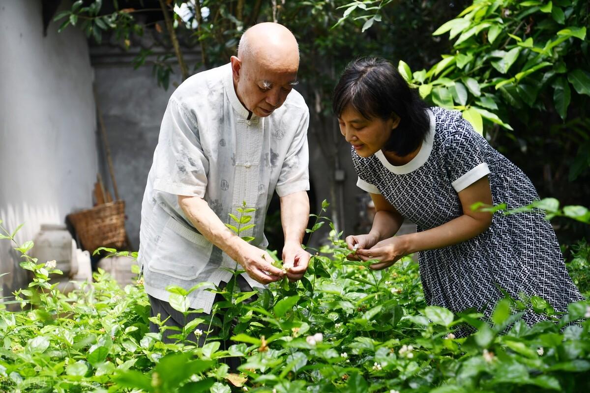 秋天在景色优美语录（秋季山顶喝茶的句子）