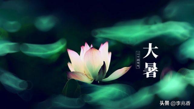 大暑节气祝福语文案（朋友圈大暑问候句子）