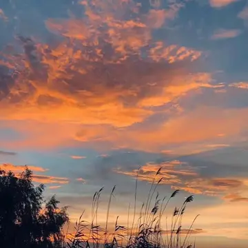 关于花朵的浪漫文案（让人心动的浪漫句子）