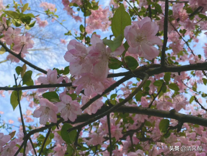 充满夏日气息的唯美句子（夏天浪漫短句）